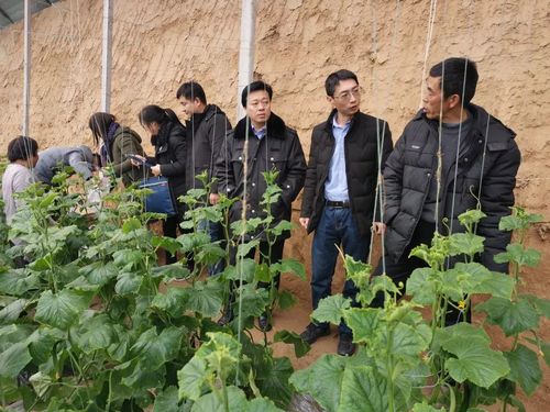 商河县农业农村局开展春节期间农产品质量安全专项整治行动